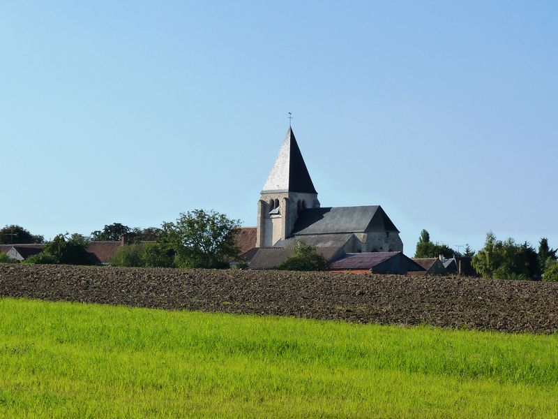 Les petits bois de Saint-Loup, Saint-Loup-des-Vignes - photo 7