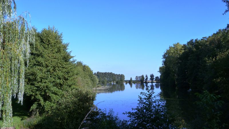 Les petits bois de Saint-Loup, Saint-Loup-des-Vignes - photo 6