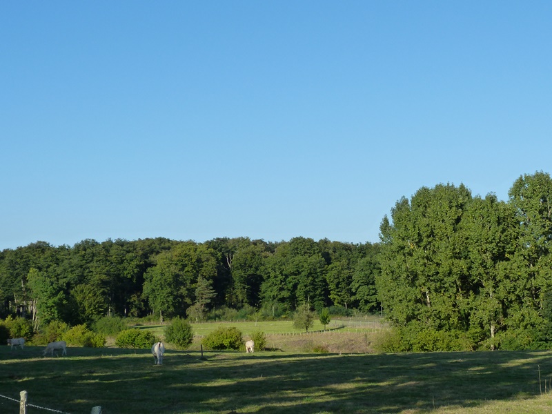 Promenade du Frétoy