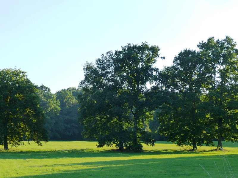 Promenade du Frétoy, Boiscommun - photo 2