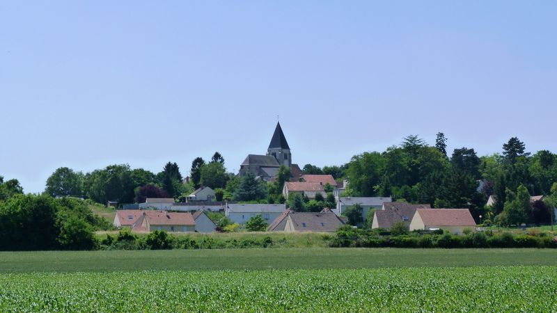 Les petits bois de Saint-Loup, Saint-Loup-des-Vignes