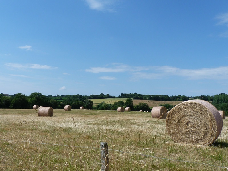 Circuit "La montée des Etourneaux", Pierrefitte-ès-Bois - photo 6