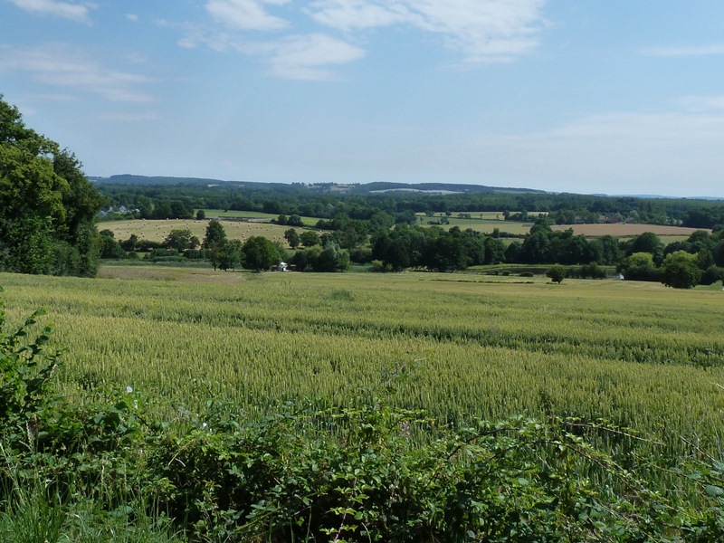 Circuit "La montée des Etourneaux", Pierrefitte-ès-Bois - photo 3