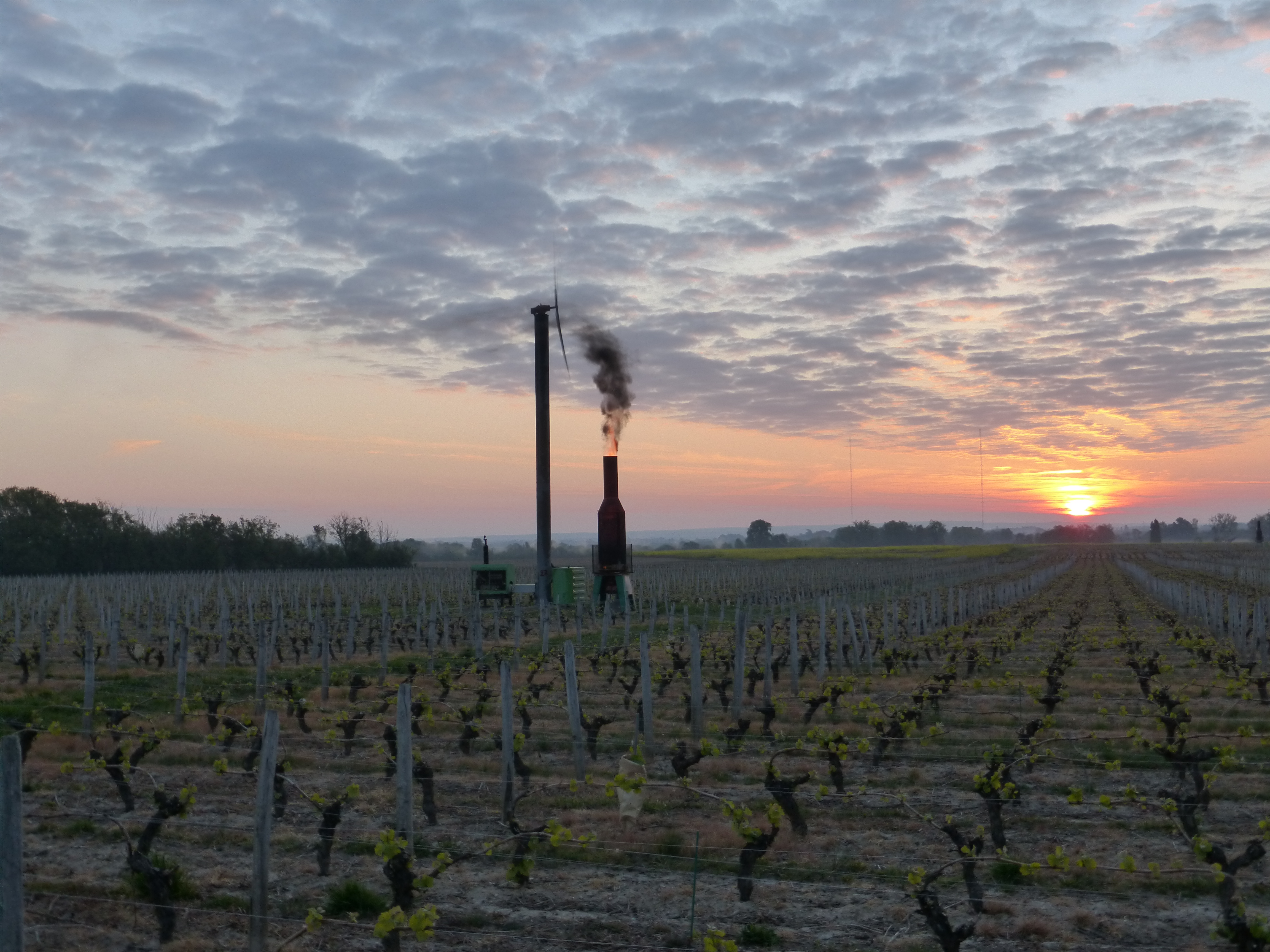 Domaine Philippe Portier — photo 3