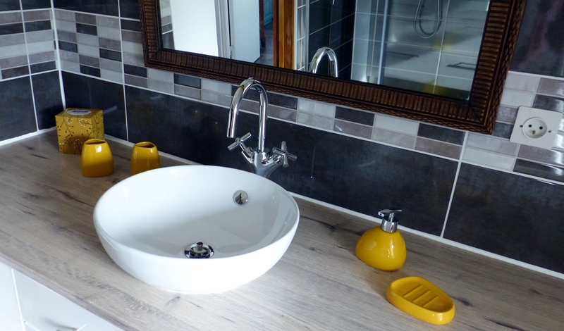 Le Petit Chardon, Concremiers - photo 5