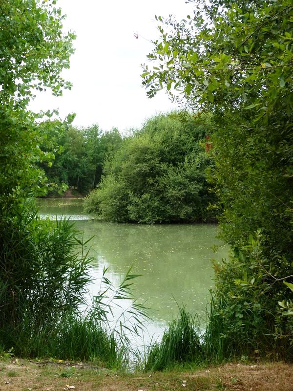 Sentier pédagogique de l'étang de l'Evangile : 1 km, Fay-aux-Loges - photo 6