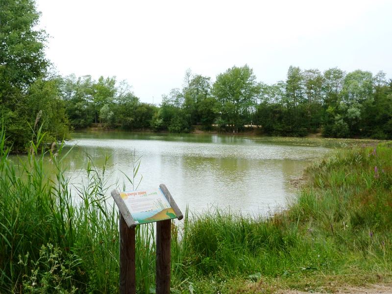 Sentier pédagogique de l'étang de l'Evangile : 1 km, Fay-aux-Loges - photo 13