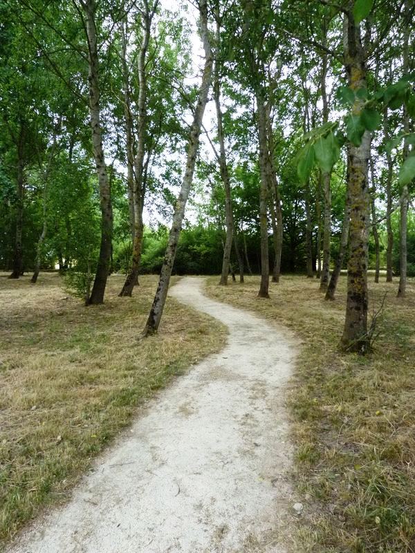 Sentier pédagogique de l'étang de l'Evangile : 1 km, Fay-aux-Loges - photo 23