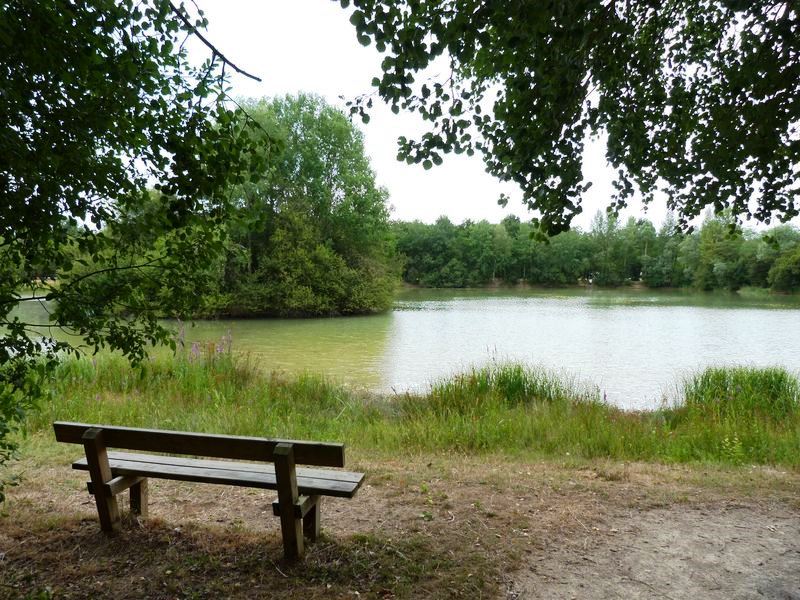 Sentier pédagogique de l'étang de l'Evangile : 1 km, Fay-aux-Loges - photo 21