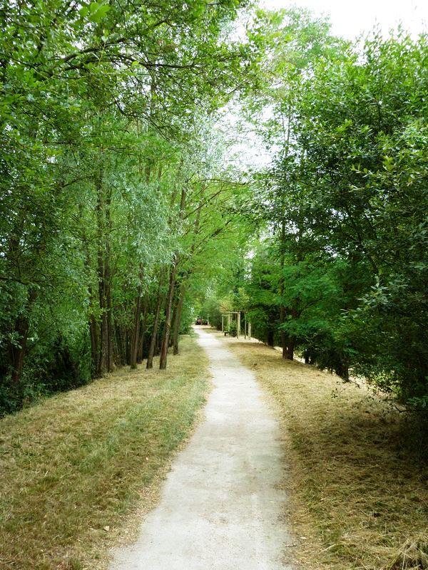 Sentier pédagogique de l'étang de l'Evangile : 1 km, Fay-aux-Loges - photo 8