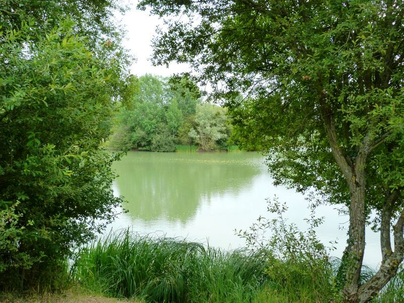 Sentier pédagogique de l'étang de l'Evangile : 1 km, Fay-aux-Loges - photo 9