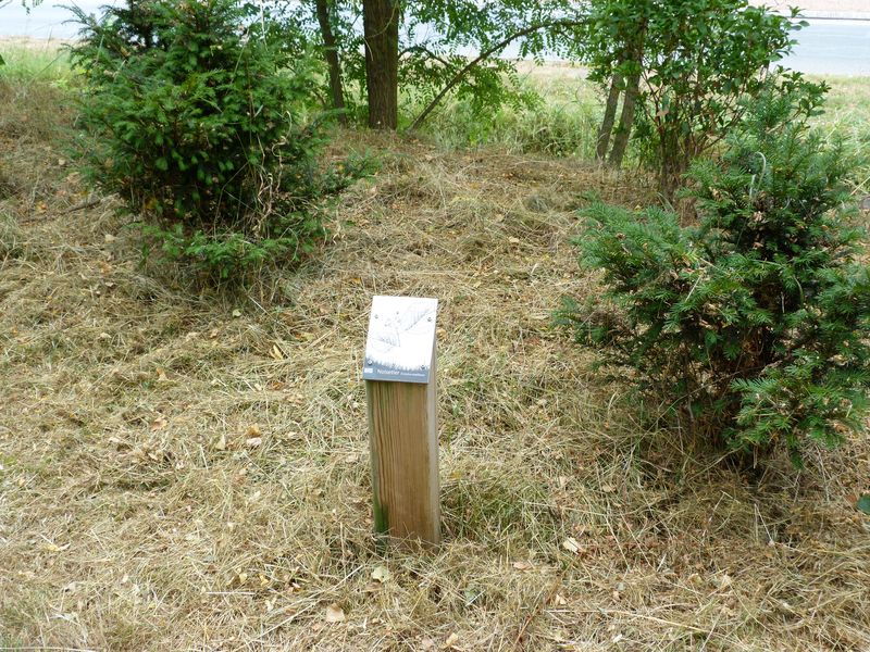 Sentier pédagogique de l'étang de l'Evangile : 1 km, Fay-aux-Loges - photo 11