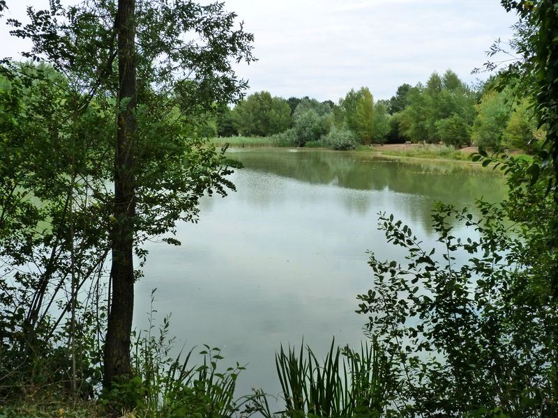 Sentier pédagogique de l'étang de l'Evangile : 1 km, Fay-aux-Loges - photo 5