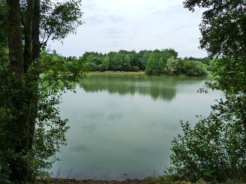 Sentier pédagogique de l'étang de l'Evangile : 1 km, Fay-aux-Loges