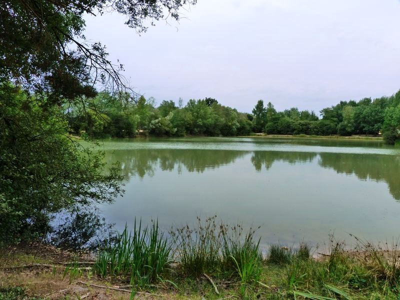 Sentier pédagogique de l'étang de l'Evangile : 1 km, Fay-aux-Loges - photo 22