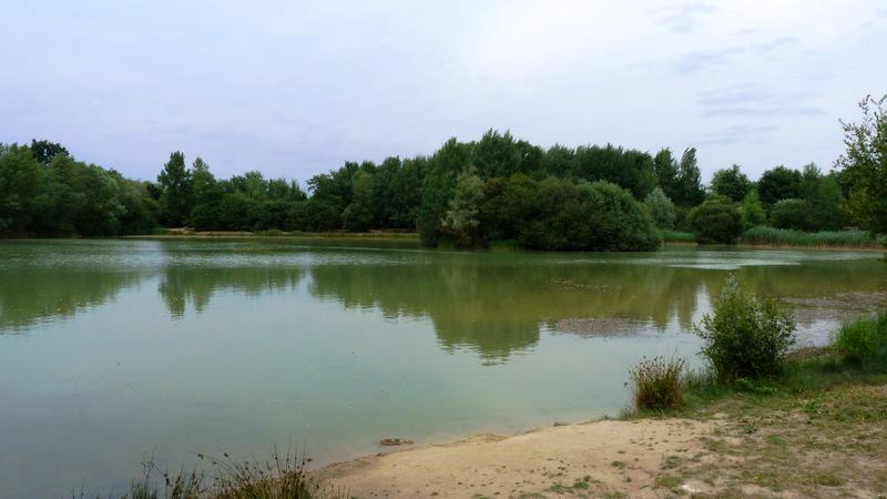 Sentier pédagogique de l'étang de l'Evangile : 1 km, Fay-aux-Loges - photo 7