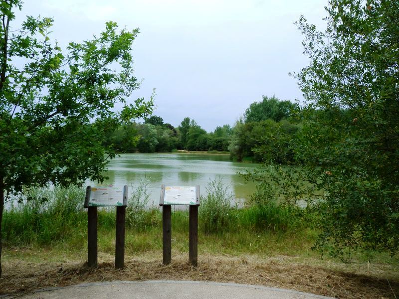 Sentier pédagogique de l'étang de l'Evangile : 1 km, Fay-aux-Loges - photo 2