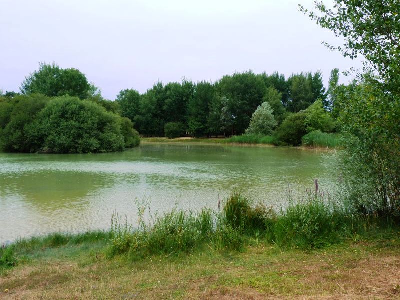 Sentier pédagogique de l'étang de l'Evangile : 1 km, Fay-aux-Loges - photo 12