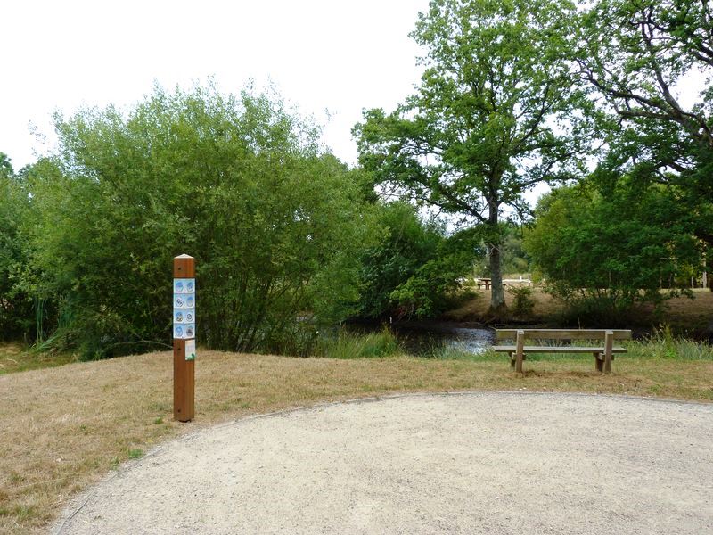 Sentier pédagogique de l'étang de l'Evangile : 1 km, Fay-aux-Loges - photo 20