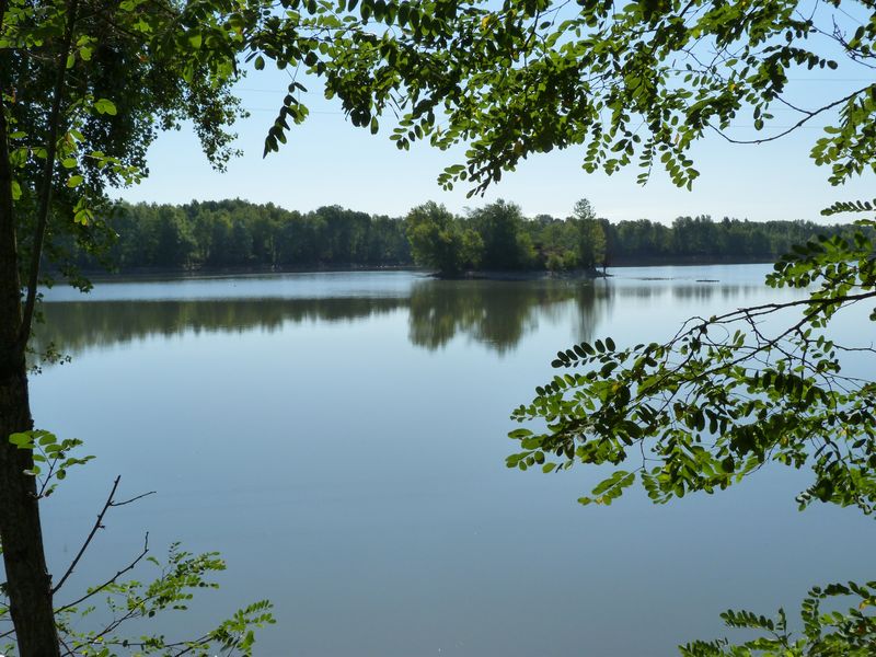 Le tour du Bois de l'Ile, Saint-Denis-en-Val - photo 6