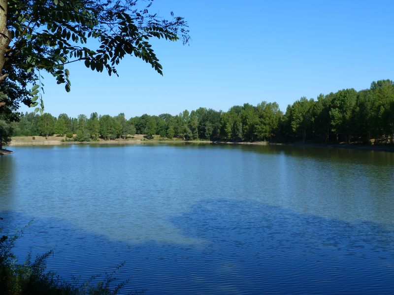 Le tour du Bois de l'Ile, Saint-Denis-en-Val - photo 10