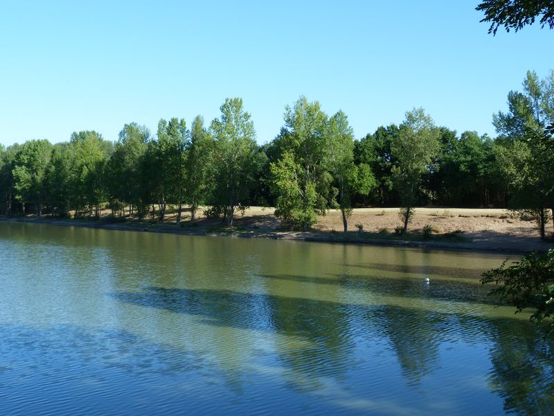 Le tour du Bois de l'Ile, Saint-Denis-en-Val - photo 9