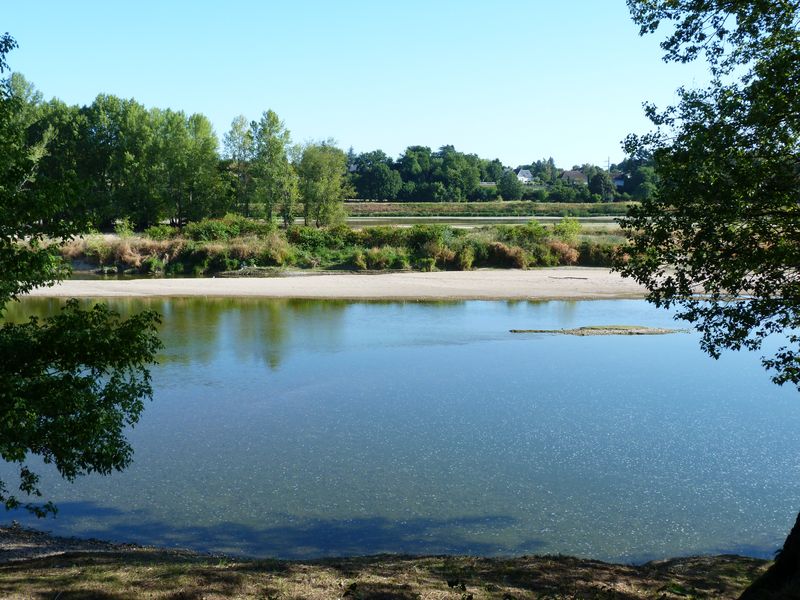 Le tour du Bois de l'Ile, Saint-Denis-en-Val - photo 2