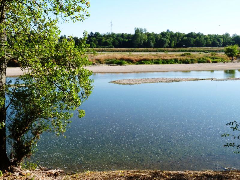 Le tour du Bois de l'Ile