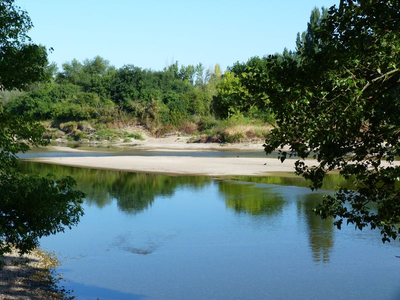 Le tour du Bois de l'Ile, Saint-Denis-en-Val - photo 7