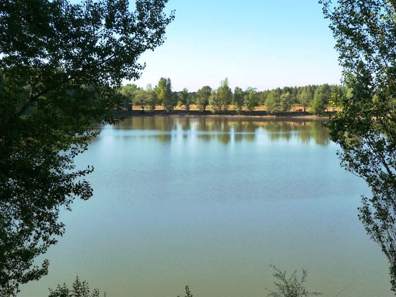Le tour du Bois de l'Ile, Saint-Denis-en-Val - photo 3