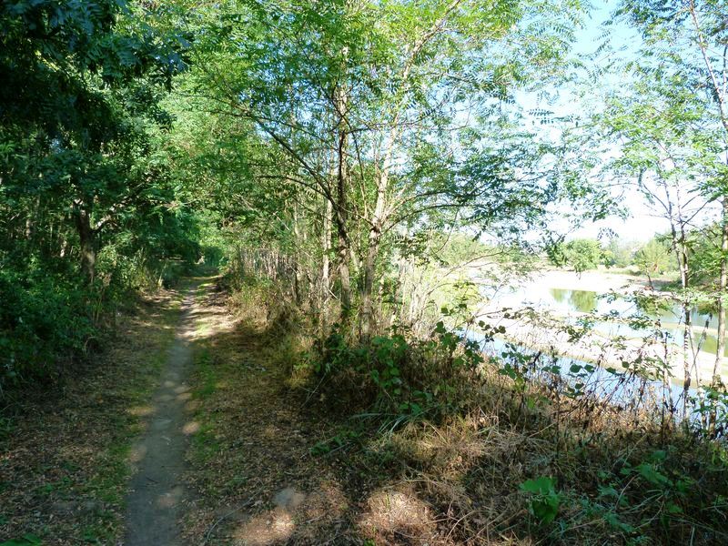 Le tour du Bois de l'Ile, Saint-Denis-en-Val