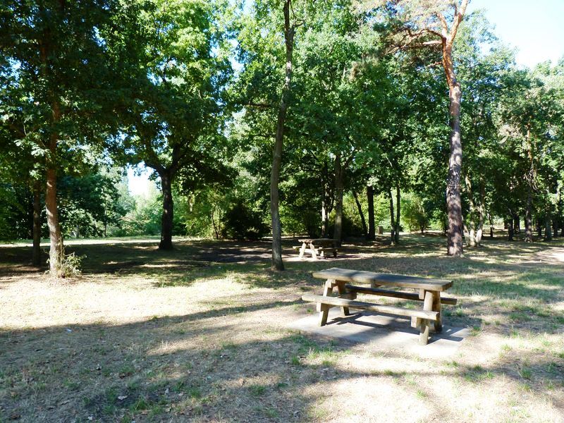 Le tour du Bois de l'Ile, Saint-Denis-en-Val - photo 19