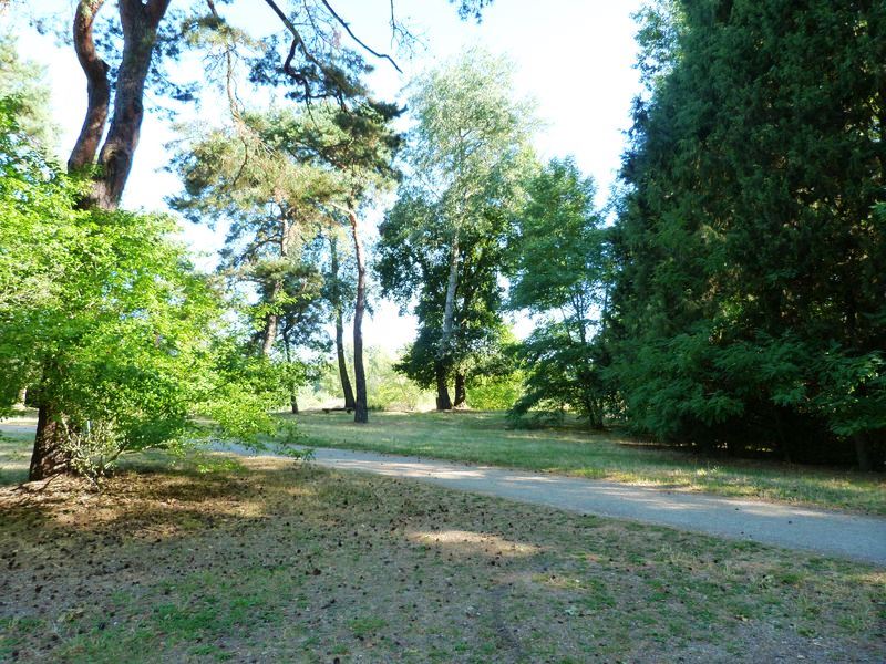 Le tour du Bois de l'Ile, Saint-Denis-en-Val - photo 22