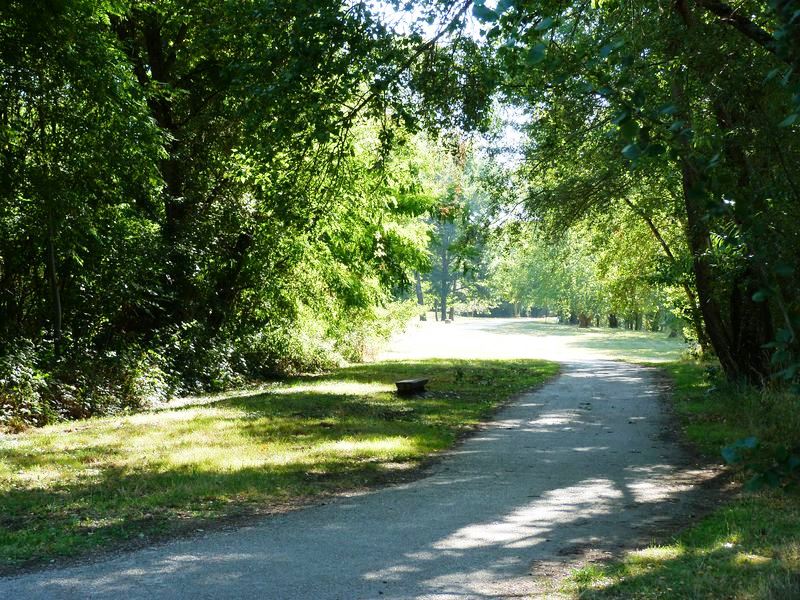 Le tour du Bois de l'Ile, Saint-Denis-en-Val - photo 15