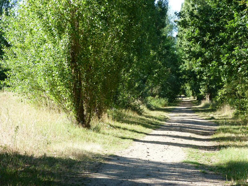 Le tour du Bois de l'Ile, Saint-Denis-en-Val - photo 18