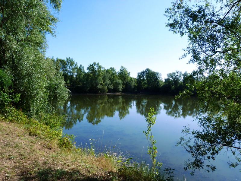 Le tour du Bois de l'Ile, Saint-Denis-en-Val - photo 21