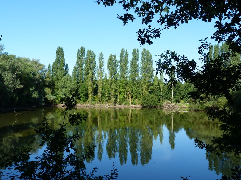 Le tour du Bois de l'Ile, Saint-Denis-en-Val - photo 11