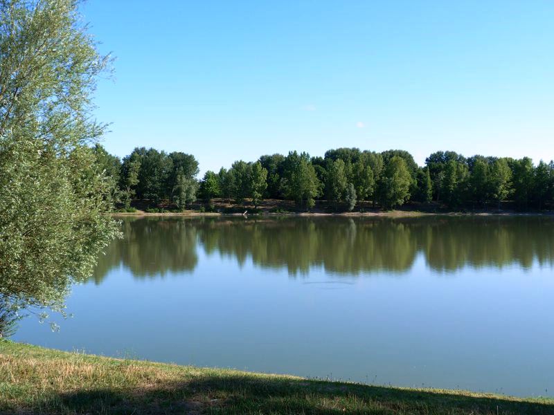 Le tour du Bois de l'Ile, Saint-Denis-en-Val - photo 23