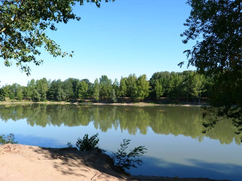 Le tour du Bois de l'Ile, Saint-Denis-en-Val - photo 14