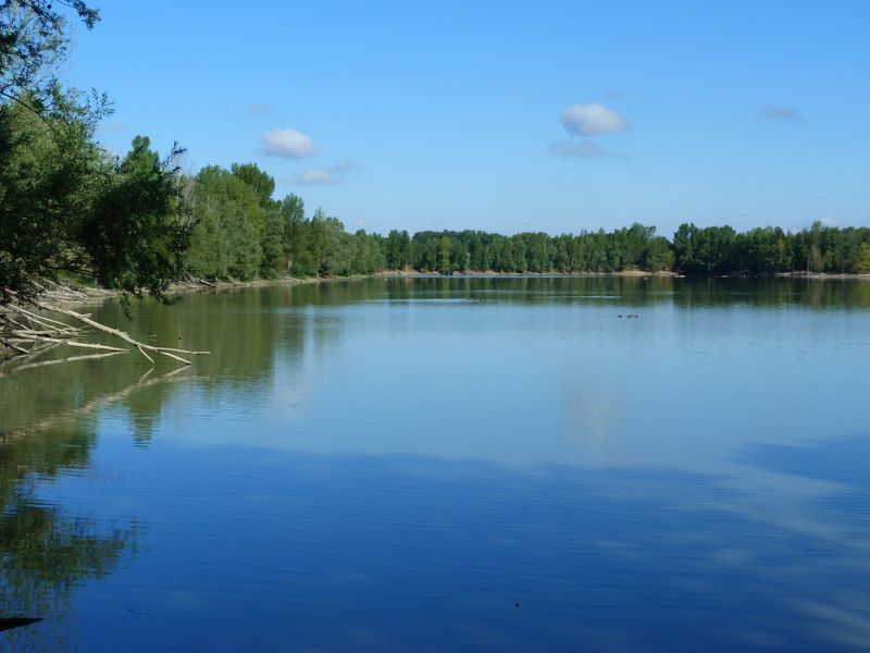 Le tour du Bois de l'Ile, Saint-Denis-en-Val - photo 16