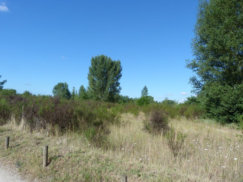 Le tour du Bois de l'Ile, Saint-Denis-en-Val - photo 13