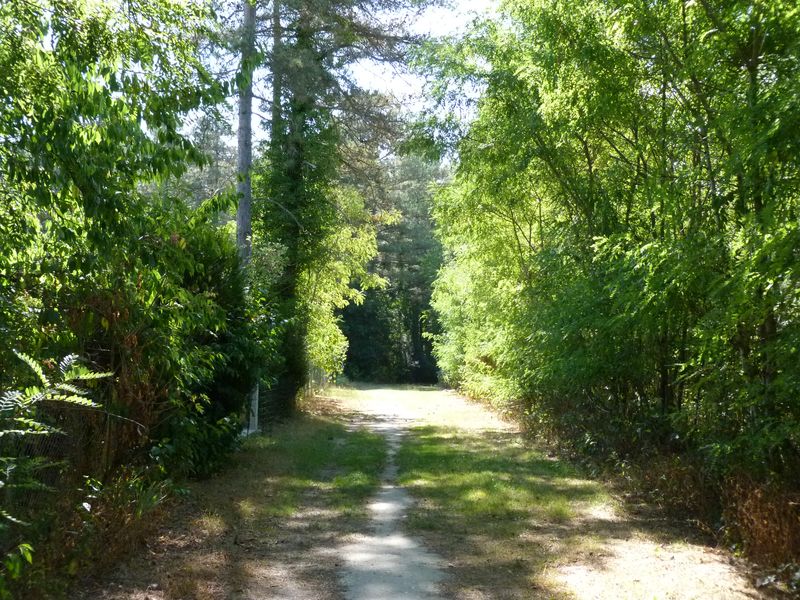 Circuit de Morchêne, Saint-Cyr-en-Val