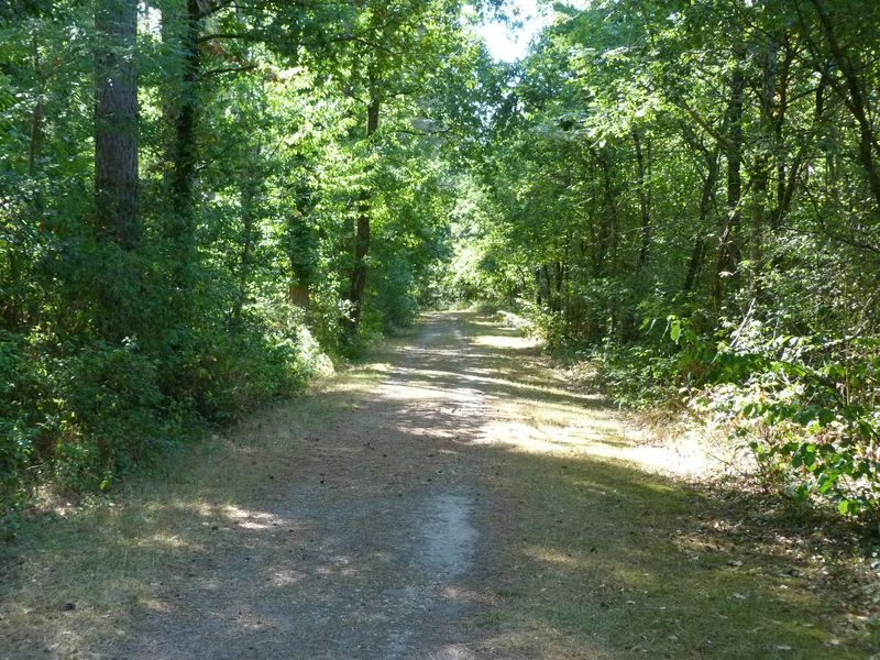 Circuit de Morchêne, Saint-Cyr-en-Val - photo 3