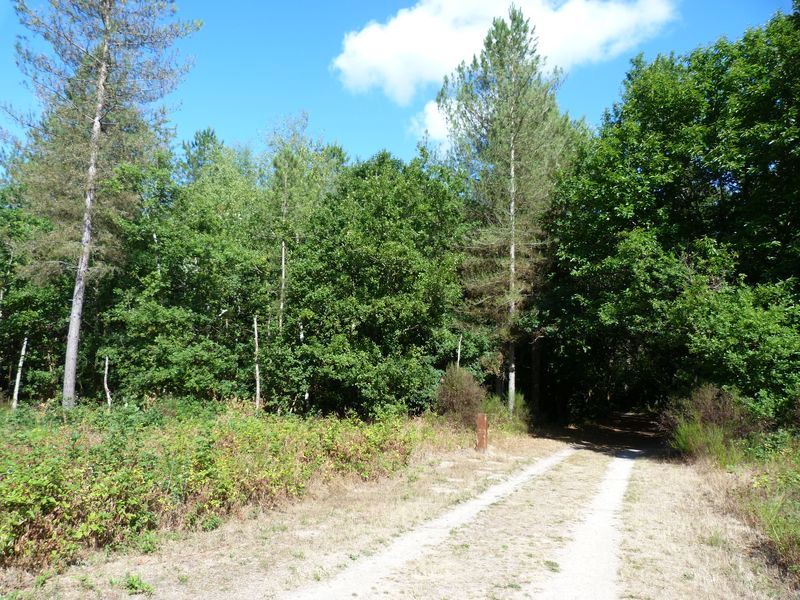 Circuit de Morchêne, Saint-Cyr-en-Val - photo 9