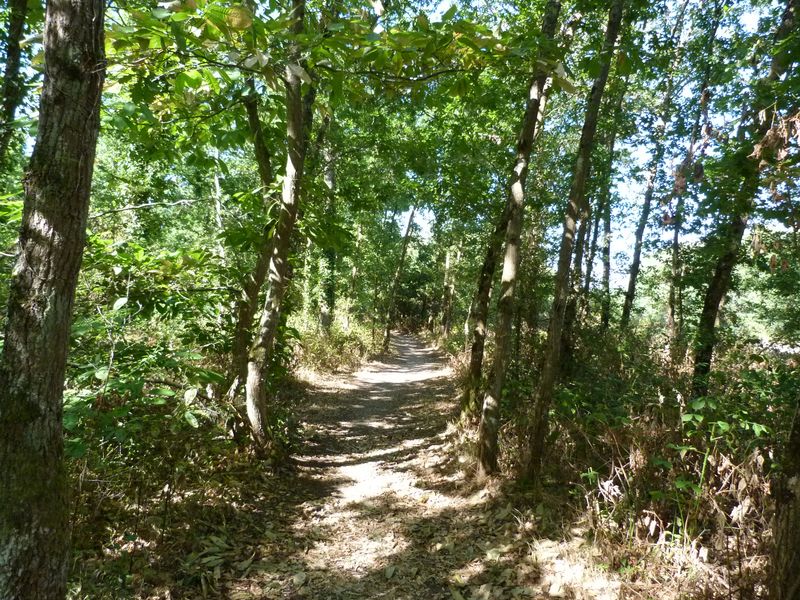 Circuit de Morchêne, Saint-Cyr-en-Val - photo 5