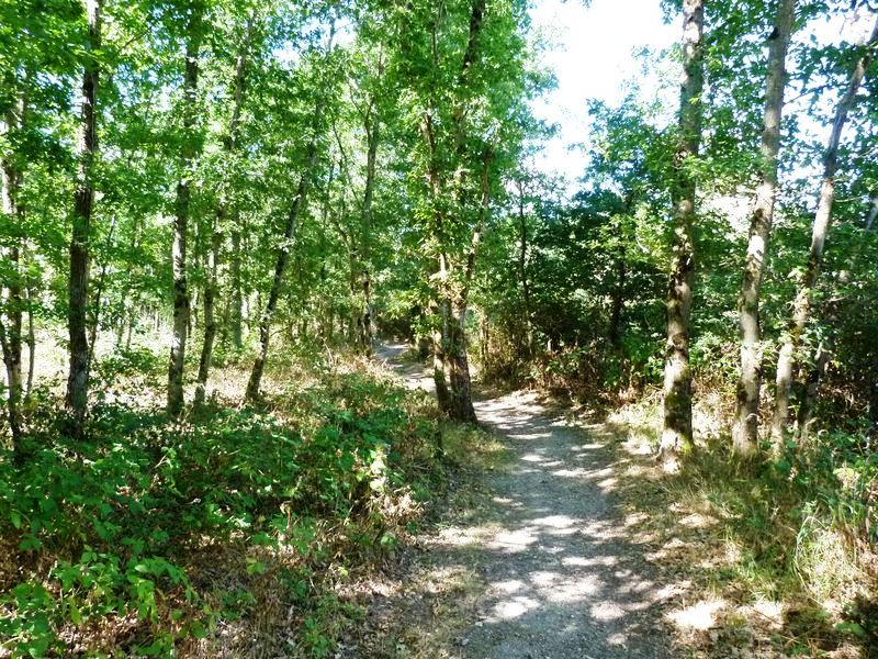 Circuit de Morchêne, Saint-Cyr-en-Val - photo 4