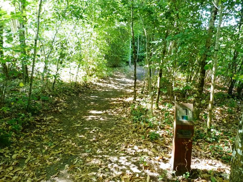 Circuit de Morchêne, Saint-Cyr-en-Val - photo 8