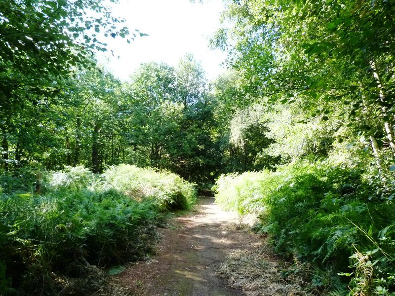 Circuit de Morchêne, Saint-Cyr-en-Val - photo 7