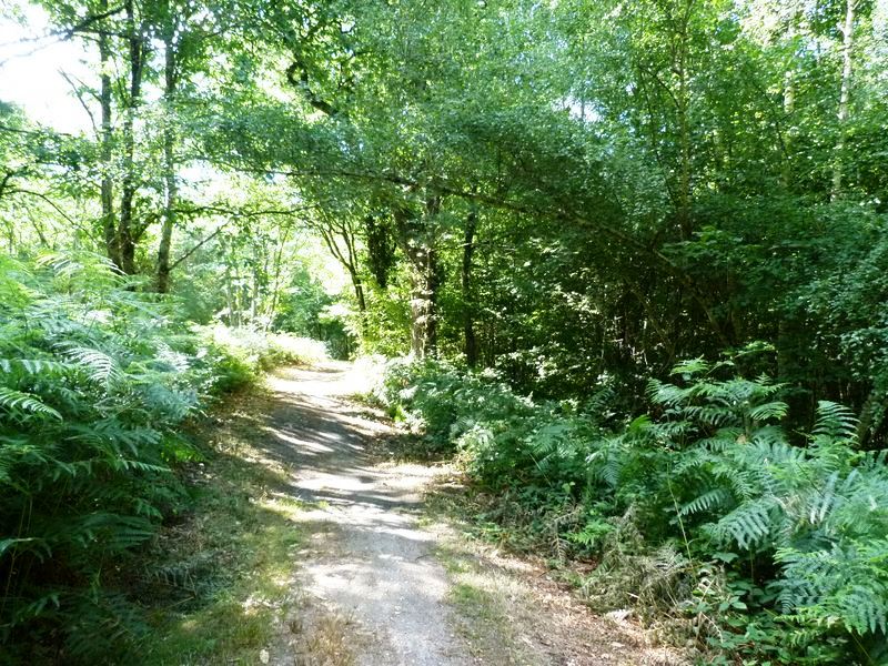 Circuit de Morchêne, Saint-Cyr-en-Val - photo 6