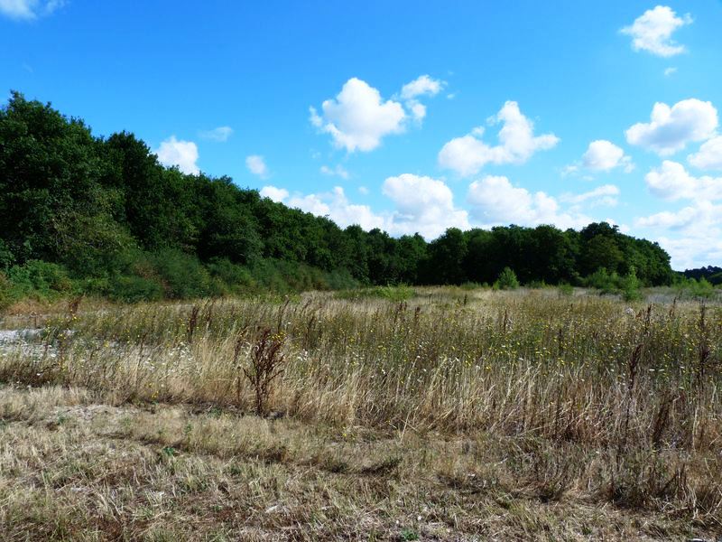 Circuit de Morchêne, Saint-Cyr-en-Val - photo 15